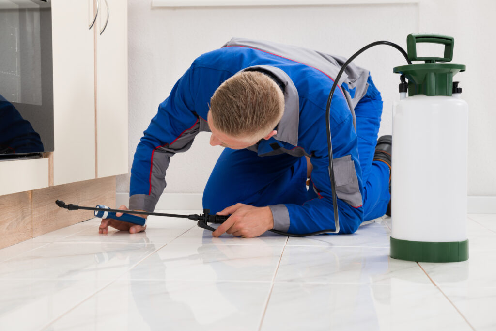 Columbiana Ant Control Xperts
